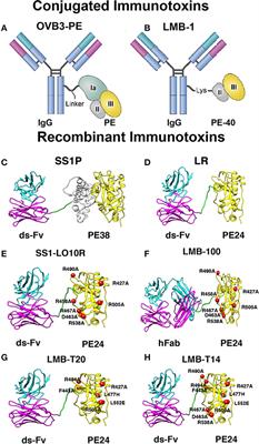 Immunogenicity of Immunotoxins Containing Pseudomonas Exotoxin A: Causes, Consequences, and Mitigation